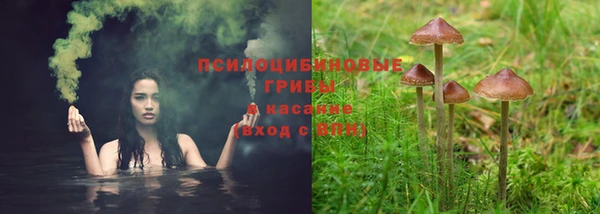 ПСИЛОЦИБИНОВЫЕ ГРИБЫ Беломорск