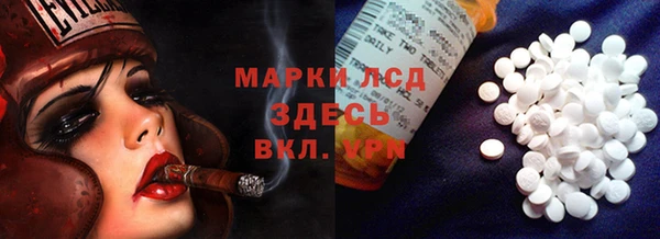 ПСИЛОЦИБИНОВЫЕ ГРИБЫ Беломорск