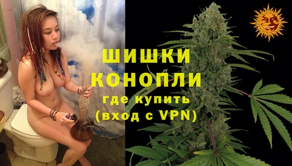 ПСИЛОЦИБИНОВЫЕ ГРИБЫ Беломорск