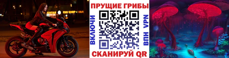 Псилоцибиновые грибы Psilocybe  Завитинск 